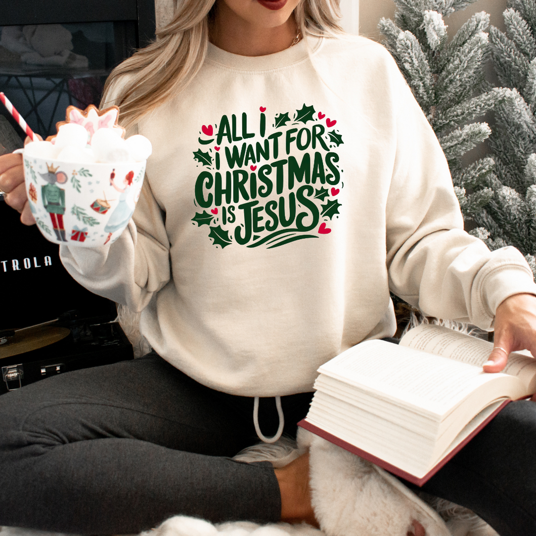 All I Want For Christmas Is Jesus Sweatshirt (Multiple Colors)