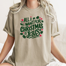 Load image into Gallery viewer, All I Want For Christmas Is Jesus Tee (Multiple Color Options)
