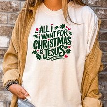 Load image into Gallery viewer, All I Want For Christmas Is Jesus Tee (Multiple Color Options)
