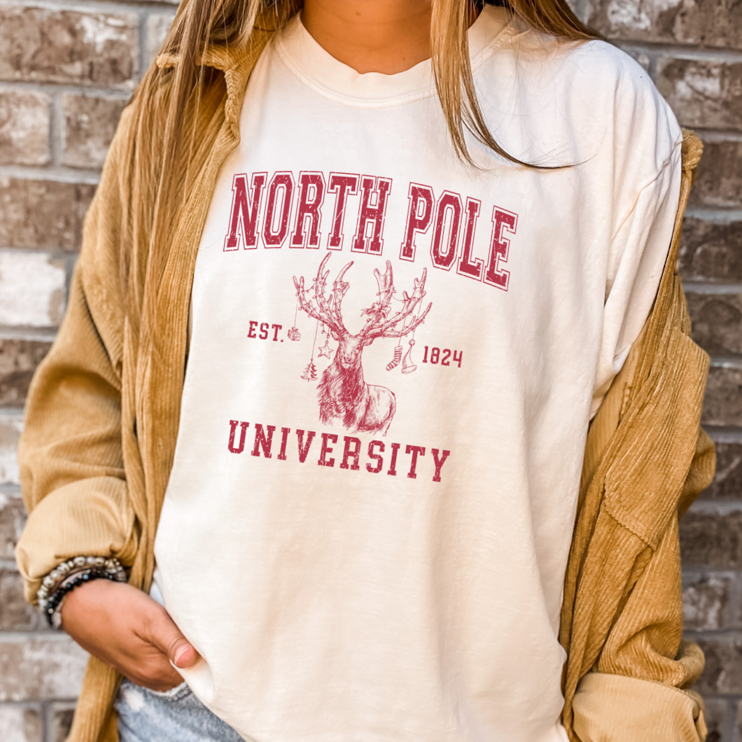 North Pole University Tee - Ivory